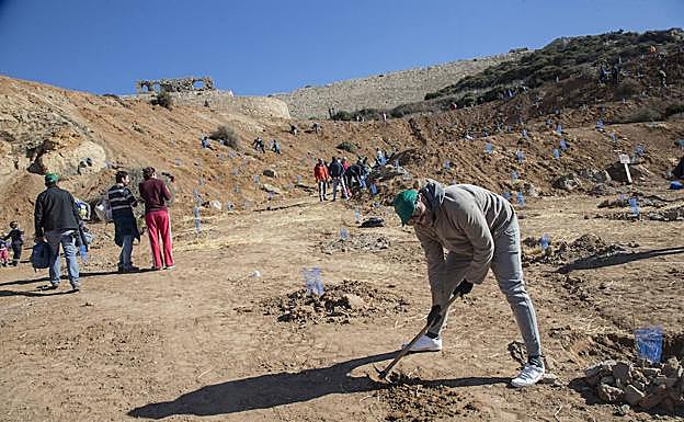 Voluntarios durante la repoblación de la ladera sur del Cerro de los Moros, ayer, en Cartagena.