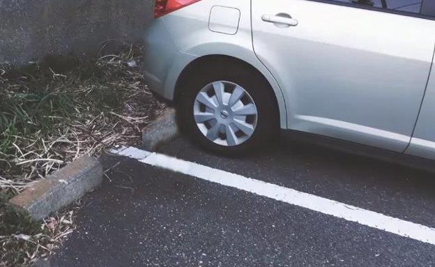 Dar un golpecito en el capó de tu coche antes de arrancarlo podría salvar una vida