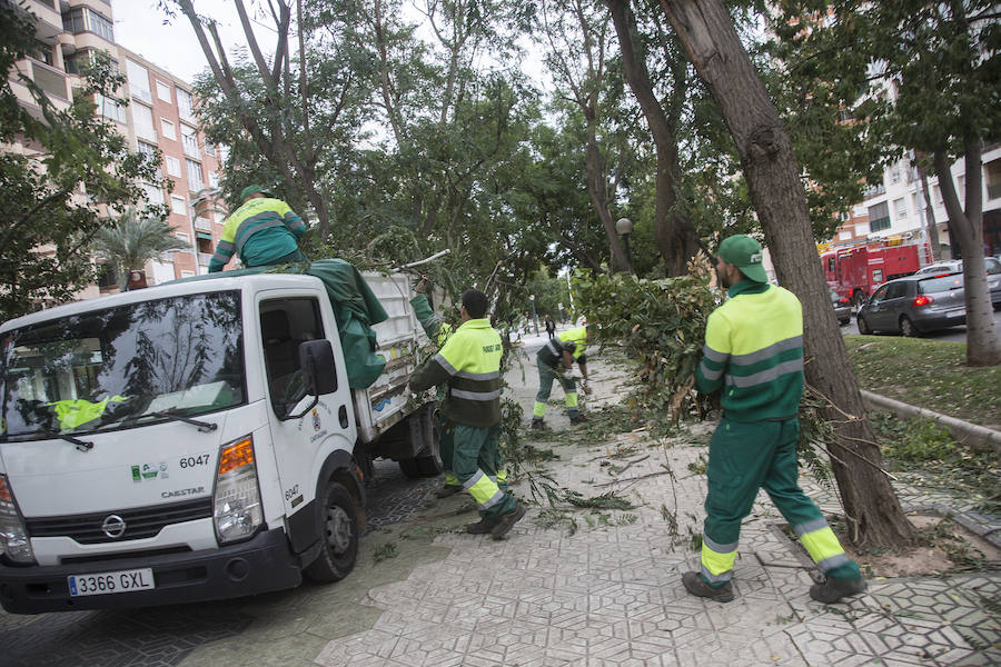 Cartagena se lleva la peor parte del episodio por fuertes rachas de aire con numerosas incidencias