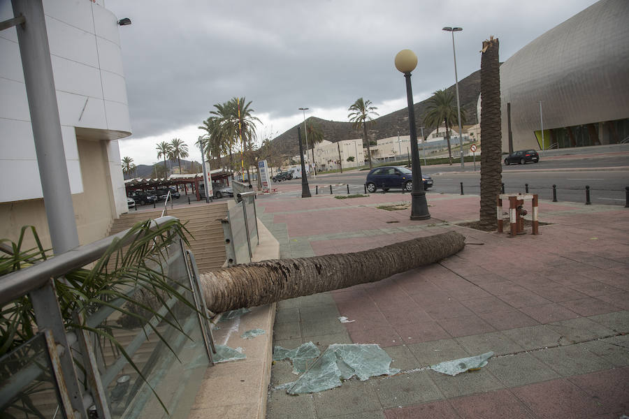 Cartagena se lleva la peor parte del episodio por fuertes rachas de aire con numerosas incidencias