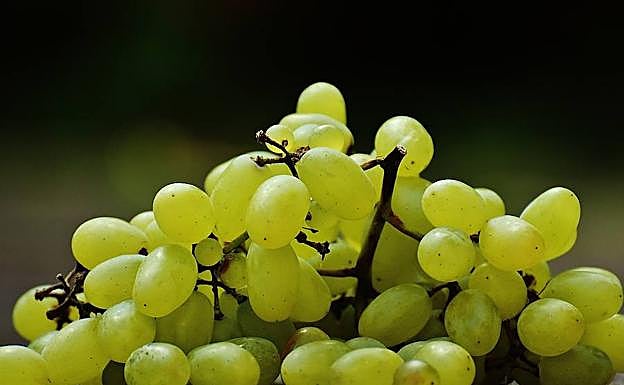 Comer uvas es la tercera causa de muerte en menores de cinco años