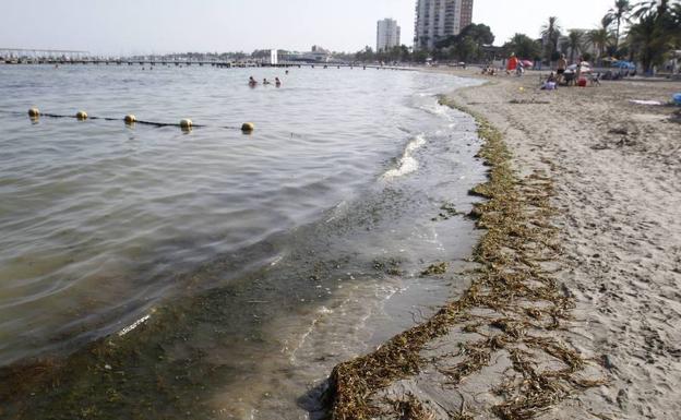 Una playa del Mar Menor durante el verano pasado. 