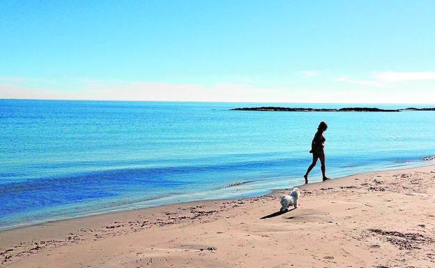 Una bañista pasea este jueves con su mascota por la playa de la Llana, en San Pedro del Pinatar. 