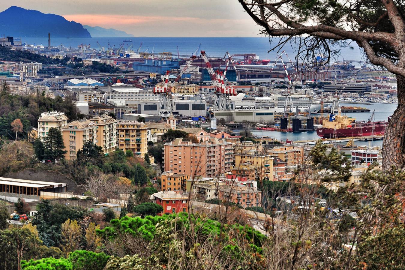 La capital de Liguria muestra al mundo su poderío cultural lanzando una nueva Ruta de la Seda que incluye a la capital del Segura, donde los italianos gozaron de enormes privilegios