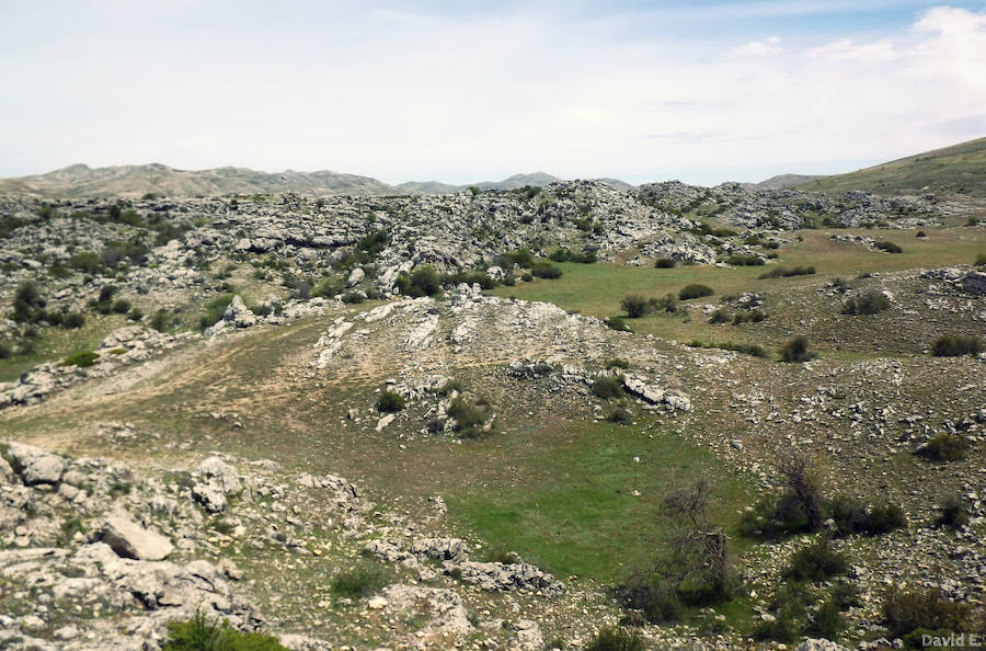 El plan científico de la Universidad de Murcia rastrea los polos más fríos de la cuenca del Segura, desde Cazorla a la pedanía lorquina de Purias