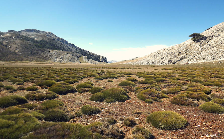 El plan científico de la Universidad de Murcia rastrea los polos más fríos de la cuenca del Segura, desde Cazorla a la pedanía lorquina de Purias