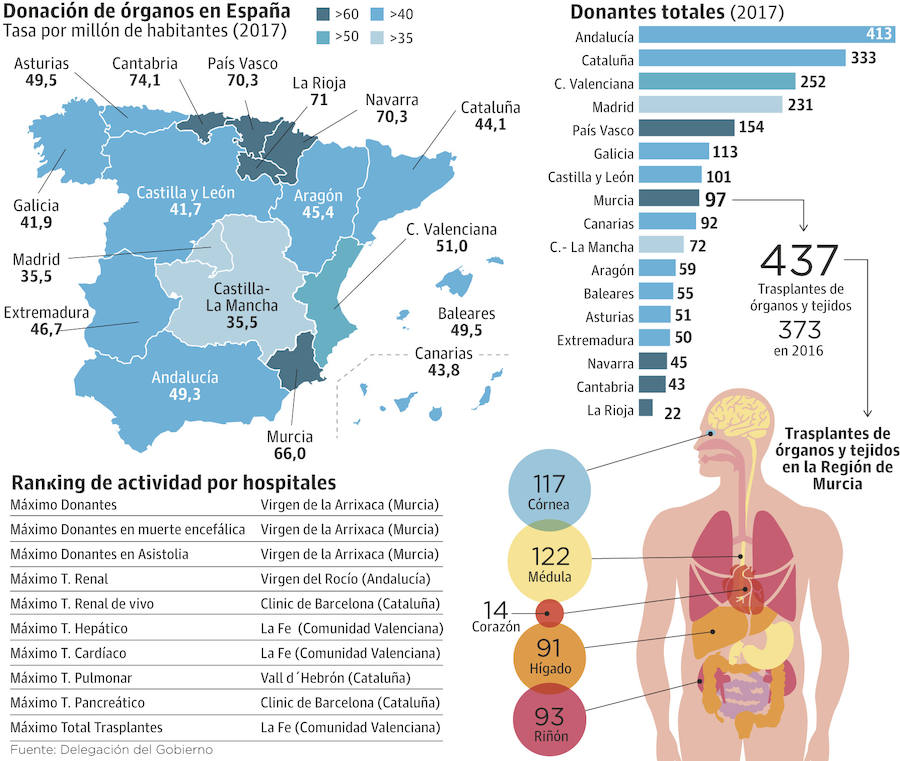 El Ministerio resalta que en 2017 se realizaron en España 5.259 trasplantes, una media de catorce diarios