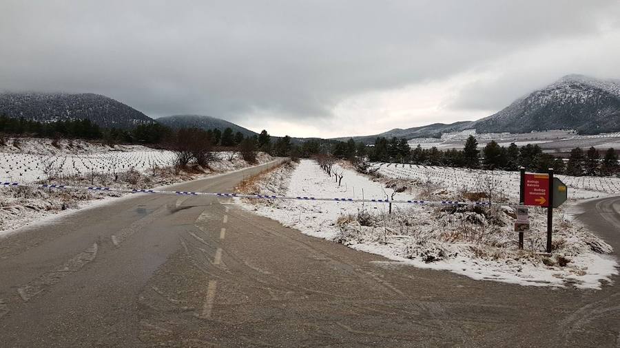 En Bullas y en Mula, la nevada también dejó los campos teñidos de blanco. 