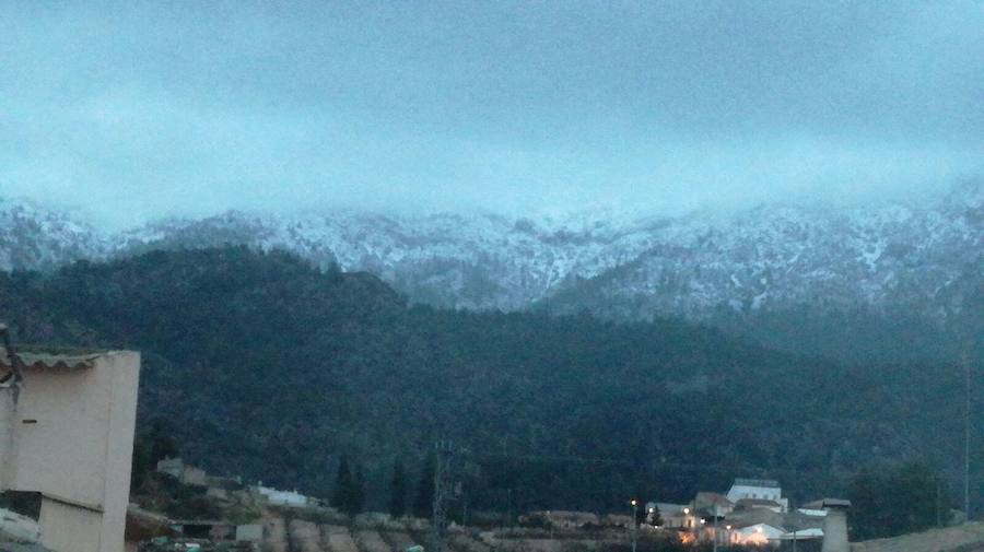 En Bullas y en Mula, la nevada también dejó los campos teñidos de blanco. 