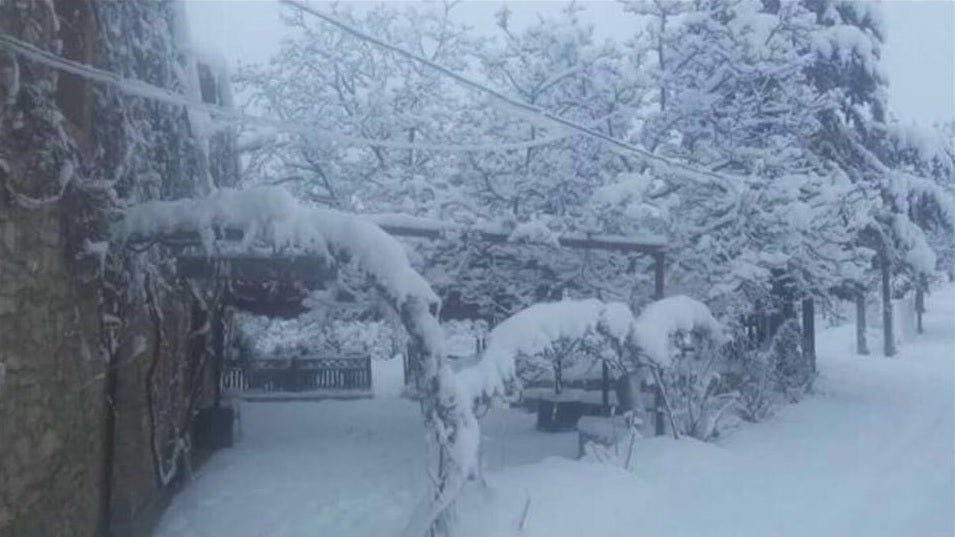 La nieve dejó una blanca estampa en Campo de San Juan (Moratalla). 