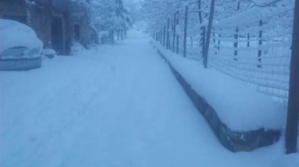 La nieve dejó una blanca estampa en Campo de San Juan (Moratalla). 