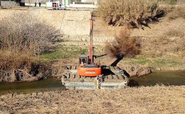 Lá máquina desbrozadora, en el río Segura.