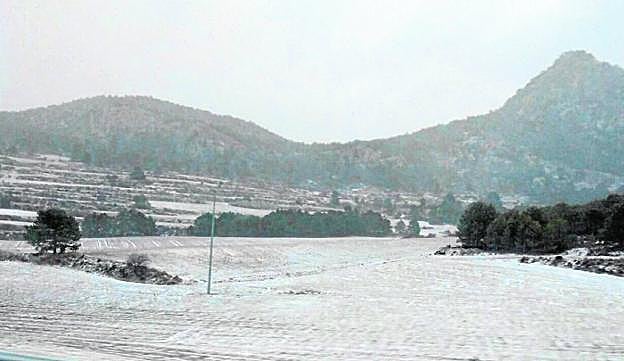 Panorámica de un paraje del Campo de San Juan, nevado, a las 8.20 de la mañana de ayer.