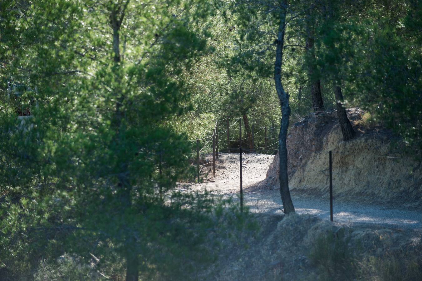 Una visita guiada a la increíble ciudad argárica de Totana para conocer a los ancestros a fondo