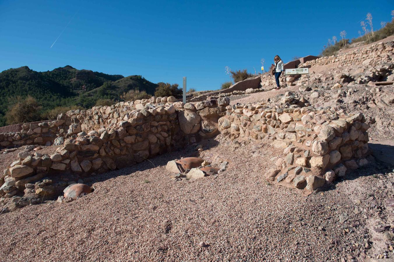 Una visita guiada a la increíble ciudad argárica de Totana para conocer a los ancestros a fondo