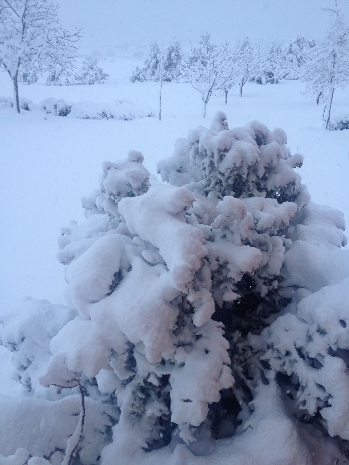 El campo de San Juan se tiñe de blanco.