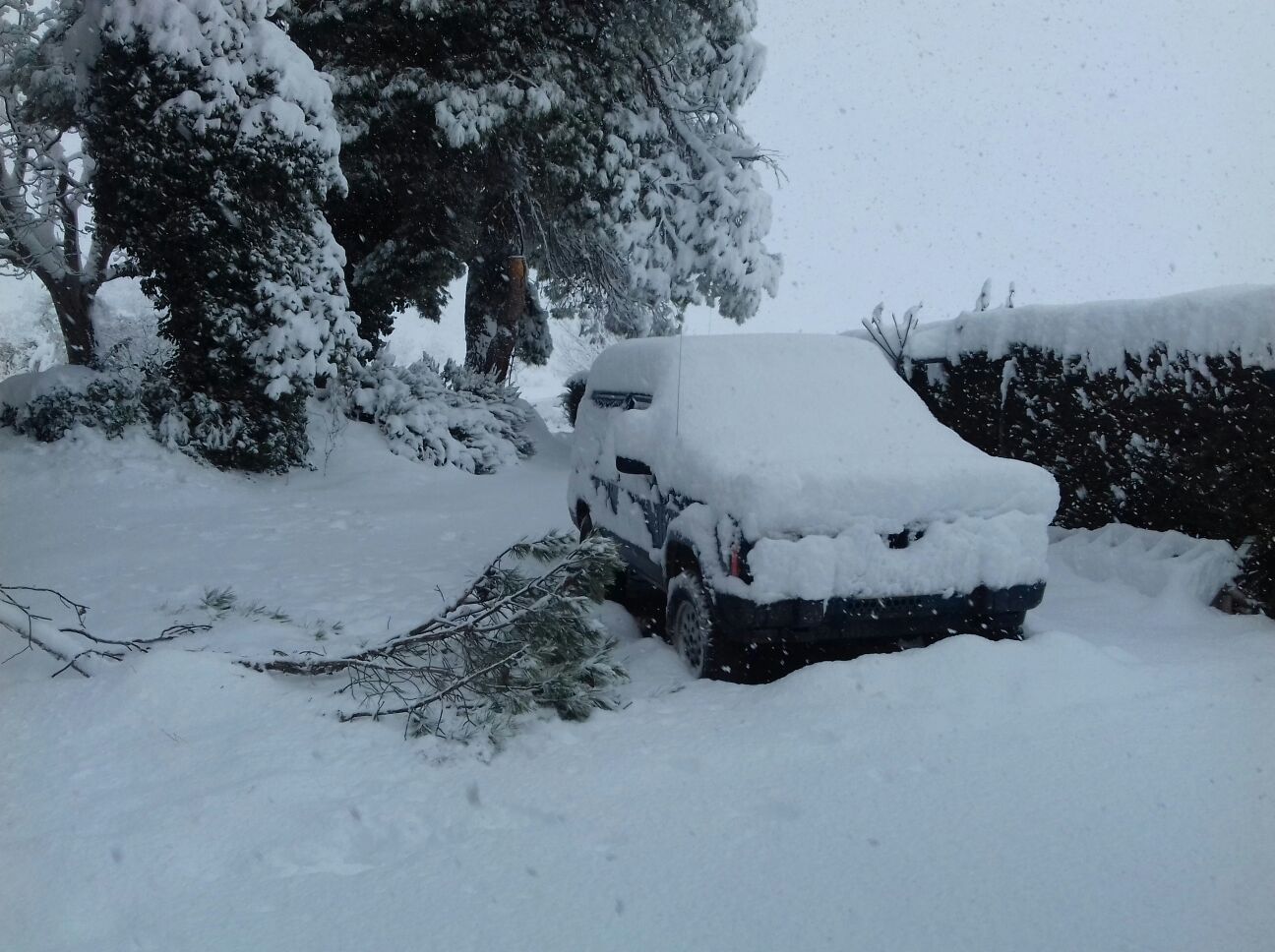 El campo de San Juan se tiñe de blanco.