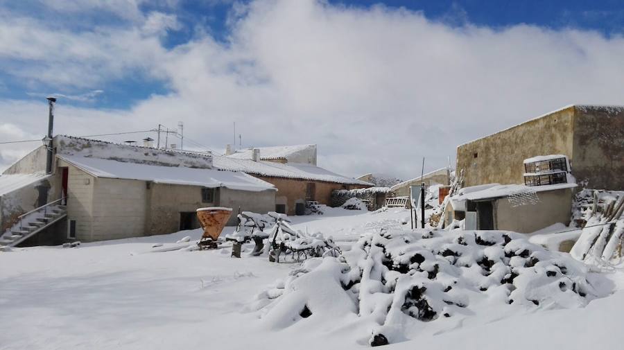 La cota de nieve se sitúa para este viernes en torno a 600 y 800 metros de altitud.