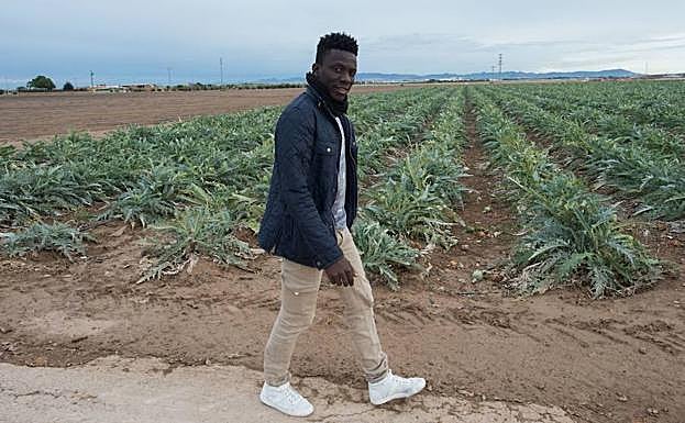 Kamagate pasea por los campos de Torre Pacheco en los que trabaja. 