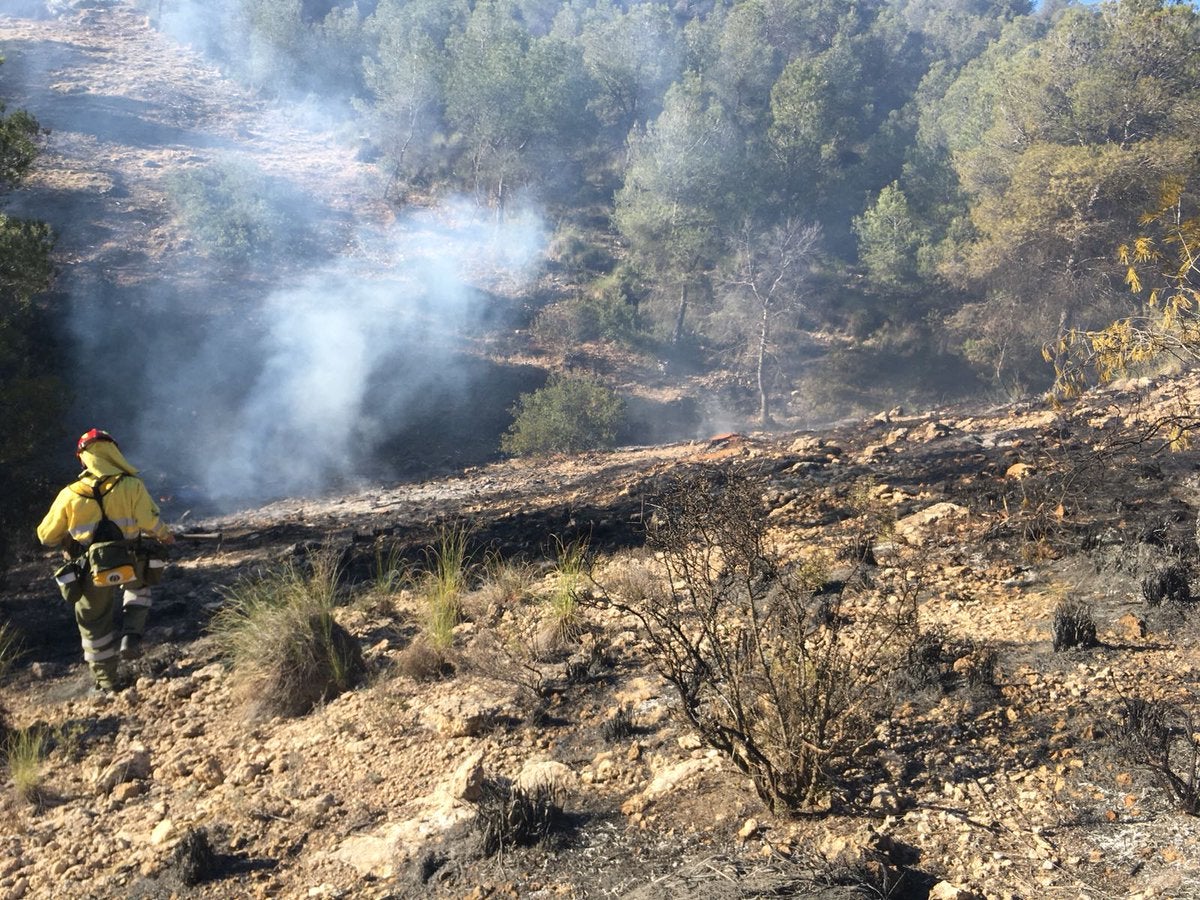 El área afectada es de aproximadamente media hectárea de esparto y pinos en el paraje Los Alagüeces
