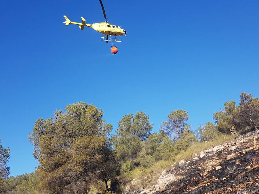 El área afectada es de aproximadamente media hectárea de esparto y pinos en el paraje Los Alagüeces