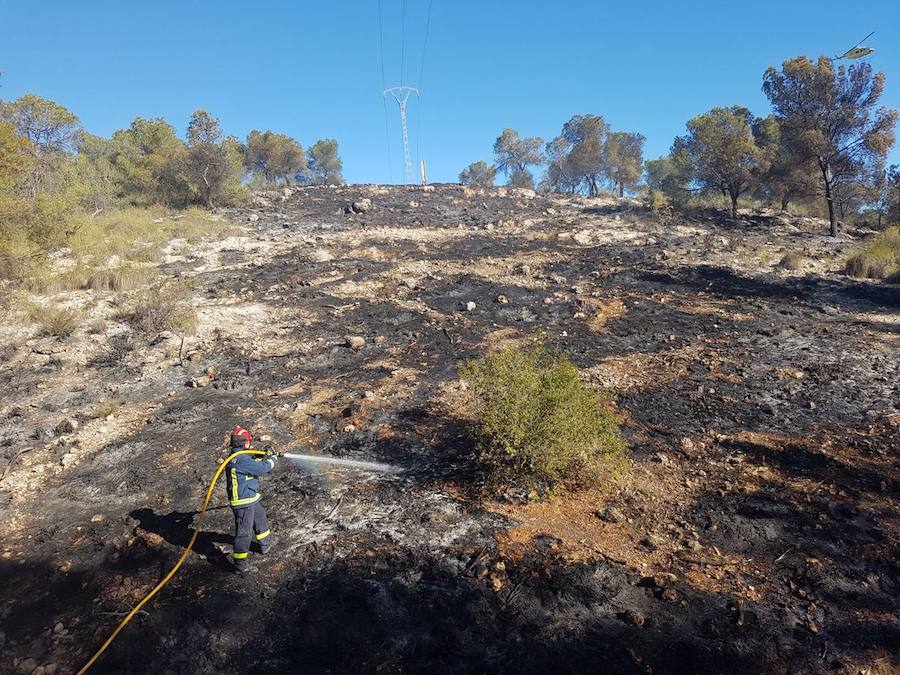 El área afectada es de aproximadamente media hectárea de esparto y pinos en el paraje Los Alagüeces