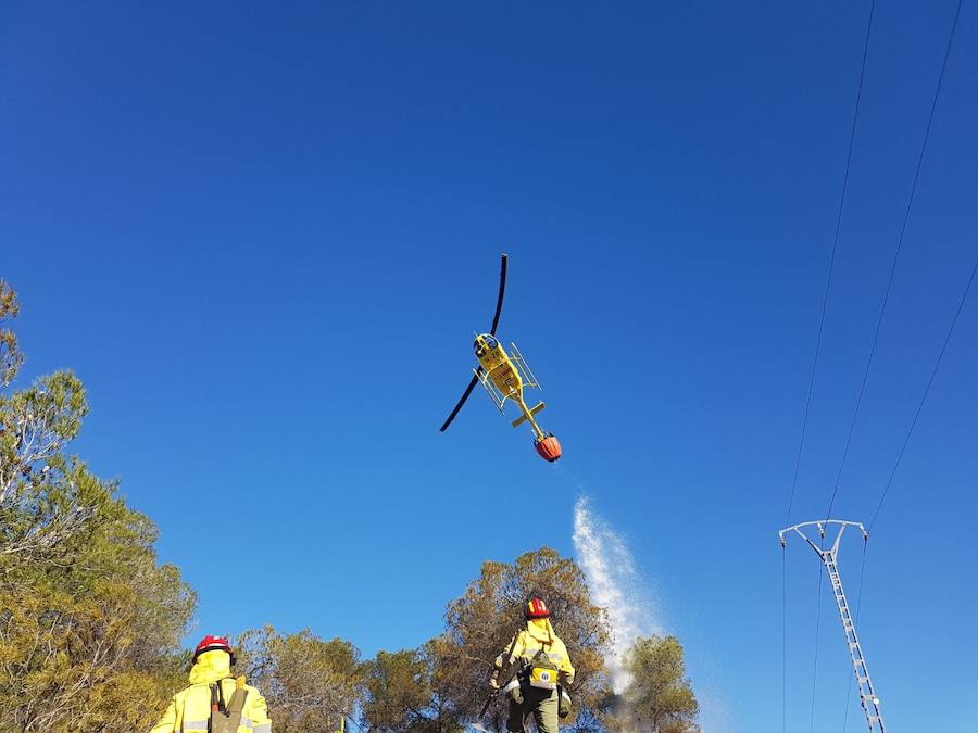 El área afectada es de aproximadamente media hectárea de esparto y pinos en el paraje Los Alagüeces