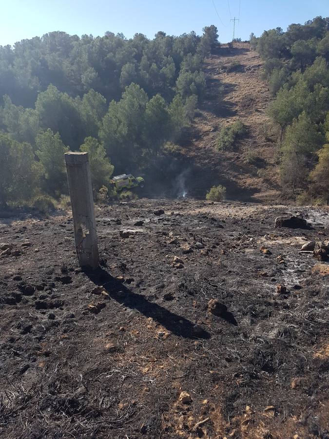 El área afectada es de aproximadamente media hectárea de esparto y pinos en el paraje Los Alagüeces
