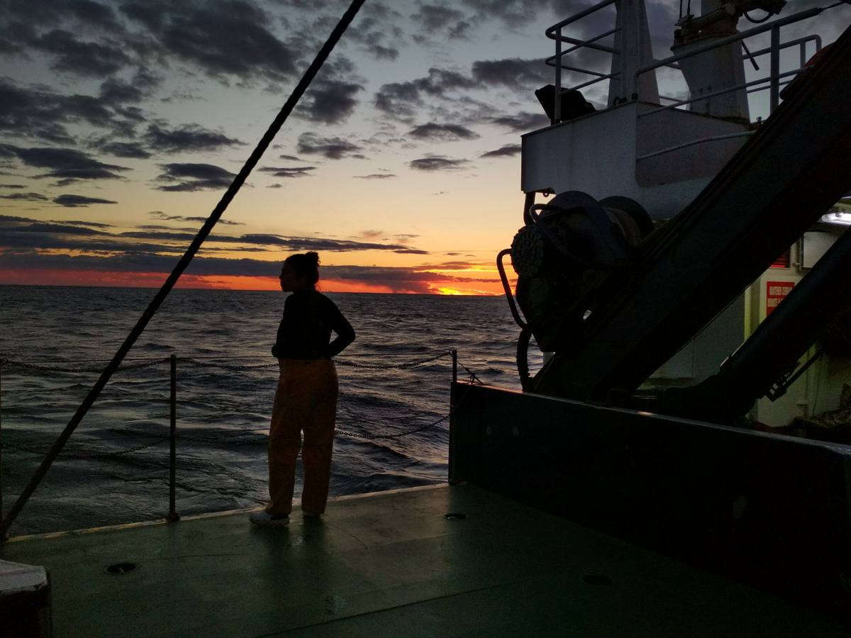 Científicos del IEO y la Universidad de Alicante cartografían por primera vez los cañones submarinos de Cabo Tiñoso y el Gorguel