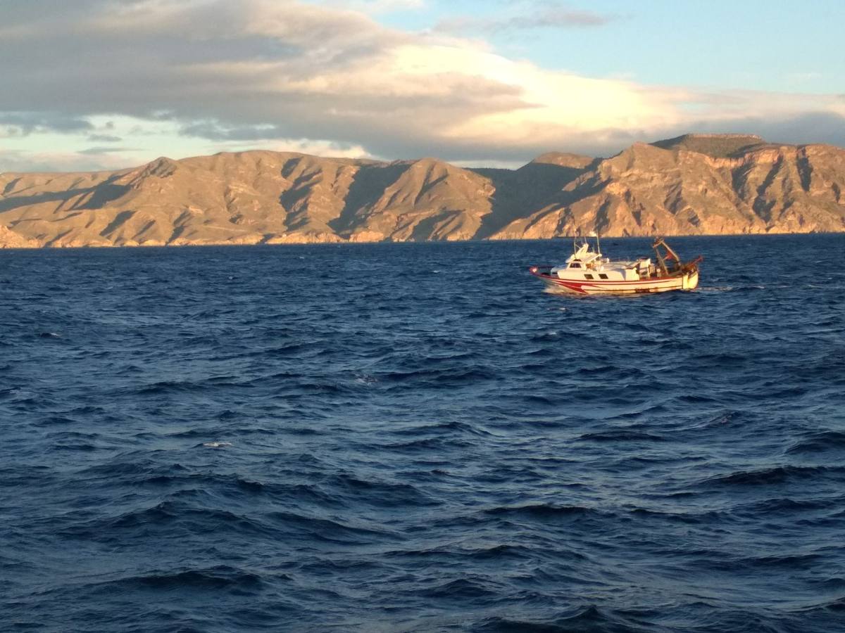 Científicos del IEO y la Universidad de Alicante cartografían por primera vez los cañones submarinos de Cabo Tiñoso y el Gorguel