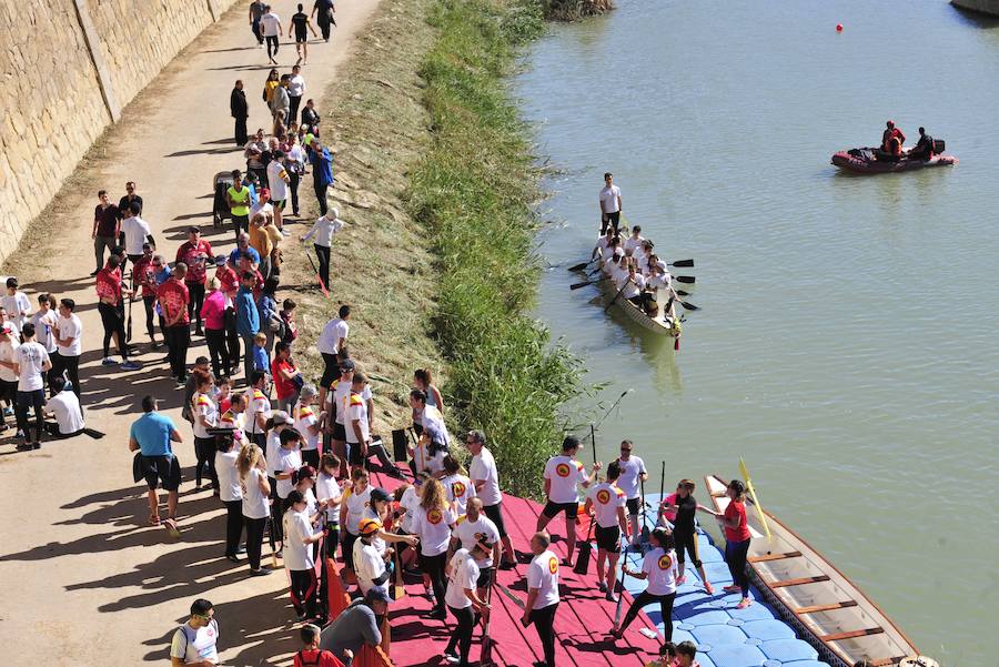 Repasa las mejores fotos de la prueba que ha llenado de piraguas el Segura