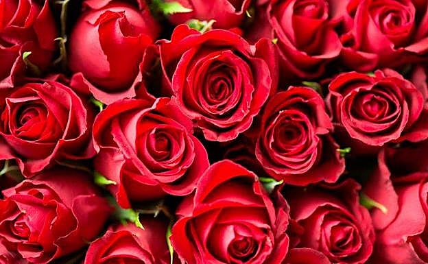 Inventan unas pastillas que hacen que las flatulencias huelan a rosas