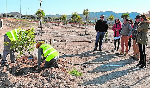 Los alumnos del programa de formación plantan un árbol.