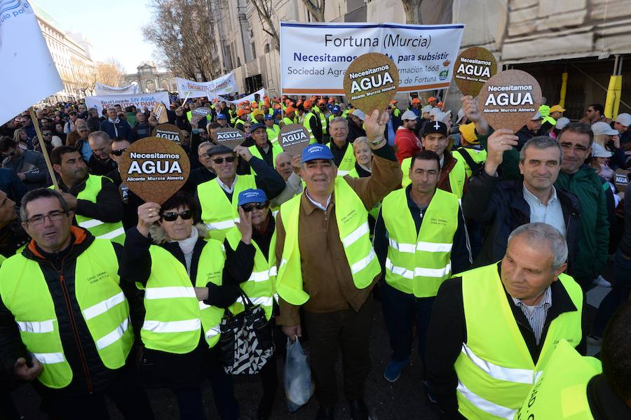 Miembros de la organización aseguran que la asistencia a la histórica marcha ronda las 50.000 personas.