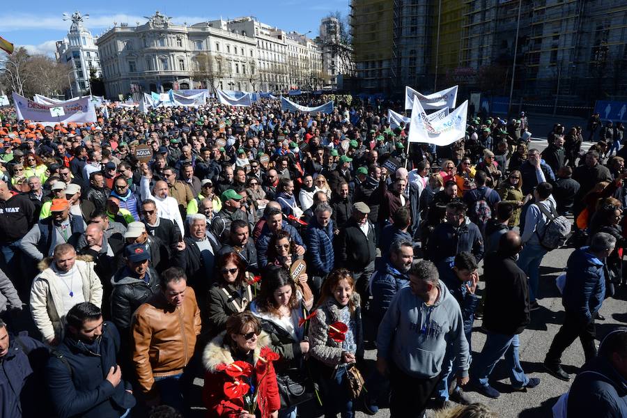 Miembros de la organización aseguran que la asistencia a la histórica marcha ronda las 50.000 personas.