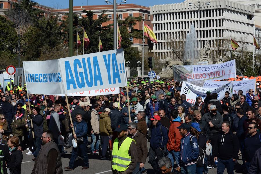 Miembros de la organización aseguran que la asistencia a la histórica marcha ronda las 50.000 personas.