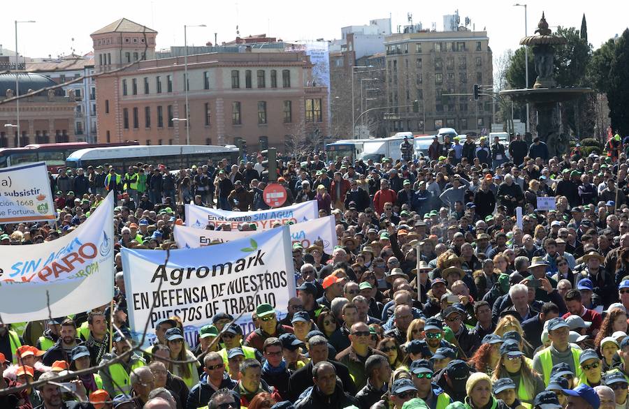 Miembros de la organización aseguran que la asistencia a la histórica marcha ronda las 50.000 personas.