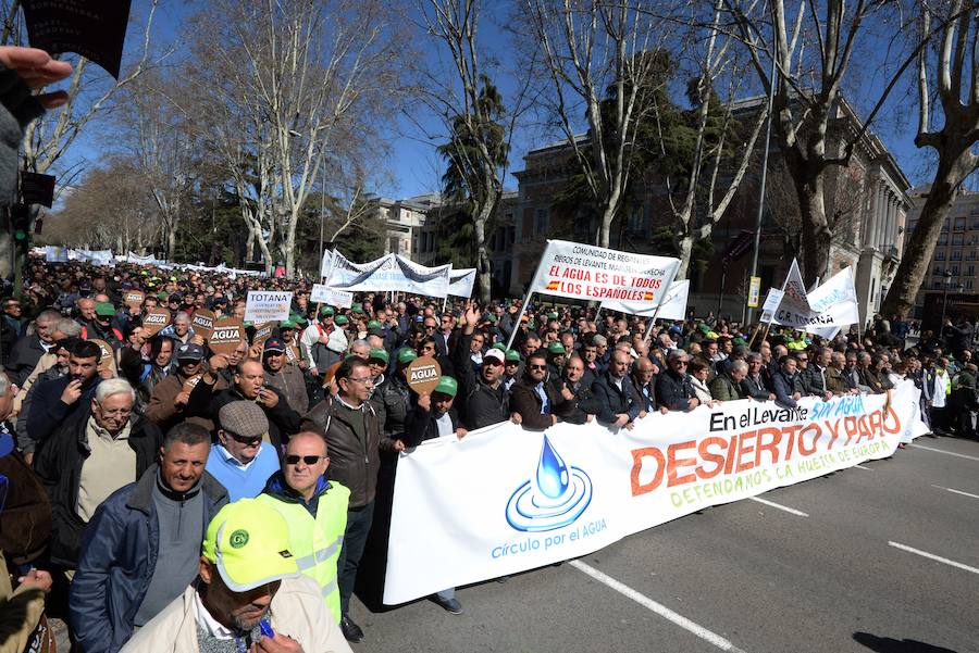Miembros de la organización aseguran que la asistencia a la histórica marcha ronda las 50.000 personas.