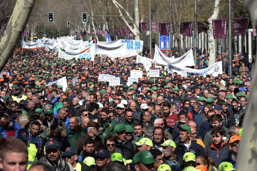 Miembros de la organización aseguran que la asistencia a la histórica marcha ronda las 50.000 personas.