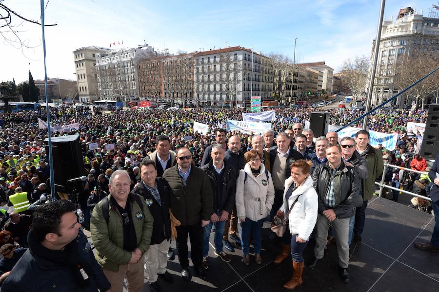 Miembros de la organización aseguran que la asistencia a la histórica marcha ronda las 50.000 personas.