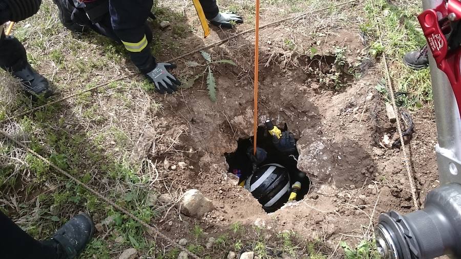 Efectivos voluntarios del cuerpo de bomberos de Murcia se han desplazado hasta la provincia de Almería para tratar de encontrar al pequeño