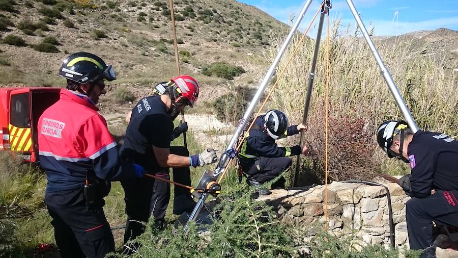 Efectivos voluntarios del cuerpo de bomberos de Murcia se han desplazado hasta la provincia de Almería para tratar de encontrar al pequeño