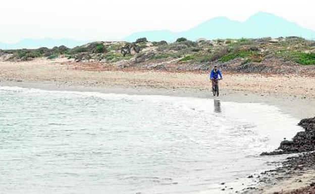 Un ciclista pasea, ayer, por la cada vez más mermada playa de La Llana, en San Pedro del Pinatar, donde hace unos días se notó especialmente la subida de la marea.