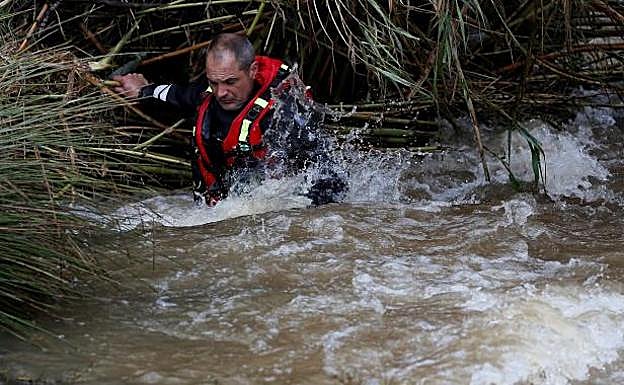 Dispositivo de búsqueda del guardia civil arrastrado por la corriente en Sevilla.