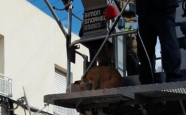 Momento del operativo de rescate.