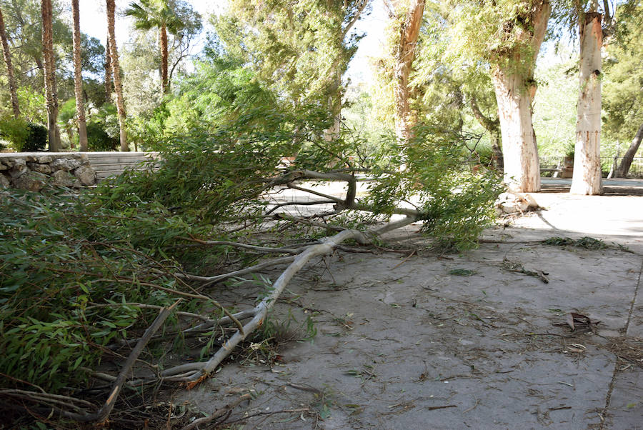 El 112 ha recibido más de 50 llamadas desde primera hora del día