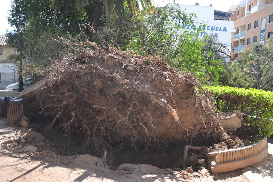 Se han alcanzado rachas de hasta 80 km/h