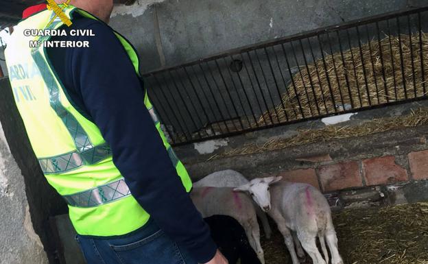 Detienen en Puerto Lumbreras a un «experimentado» ladrón de granjas