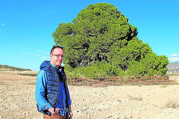 Rodrigo Borrega posa delante del vetusto Pino de las Águilas.