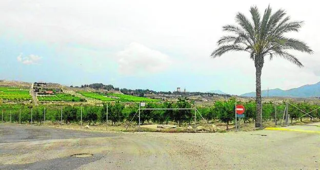 Vallado de la finca agrícola que ha cortado y ocupado la Colada del Camino de Alicante.